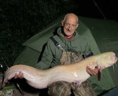 Spartacus, White Catfish, Weight 42lb, May 22