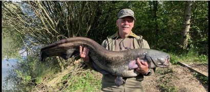 Peg 1, grey catfish, 43lb