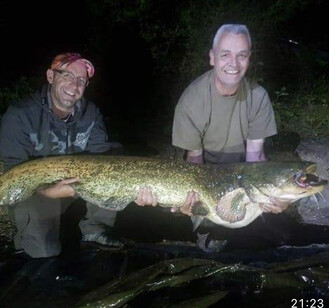 Peg 1, grey catfish, weight 68 lb