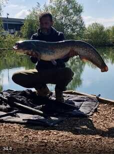 Grey Catfish, Swim 6, weight unknown.Named fish called 'Sharkbite' as has a scar down it's back.