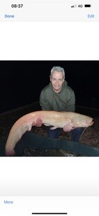 Peg 6, Arthur white catfish, 28lb