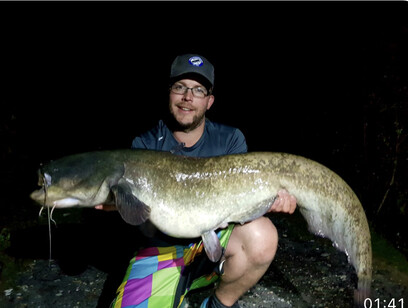 Grey catfish, weight unknown