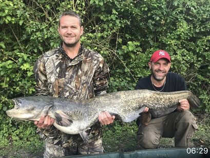 Grey catfish, peg unknown, weight unknown