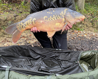 Peg 1, mirror carp, weight 22lb