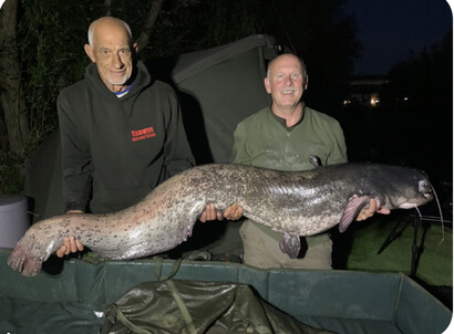 Peg 1. Grey catfish. Weight: 63.4lb