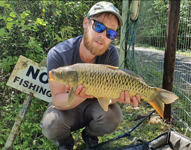 Peg 4, fully scaled mirror