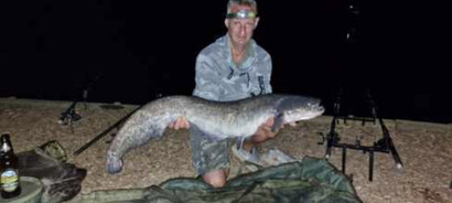 Peg 6, grey catfish, weight unknown