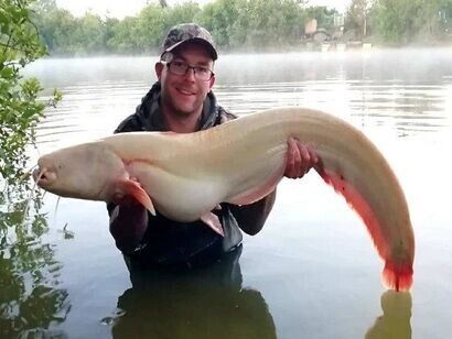 Tina, White Catfish last weight 33lb. May 22