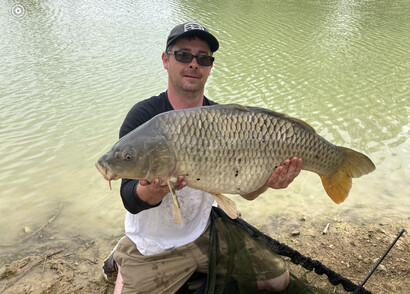 Common carp, 31lb