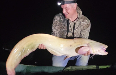 Arthur, White Catfish, weight 28lb, August 22