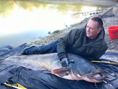 Thor, introduced October 22, weight 145lb.  Potentially the largest known catfish in the UK.  Please note that if you are lucky enough to catch this amazing creature, you must not remove from the water.  You must phone 07854 066501 and we will give you access to the correct equipment and scales to safely remove hooks.  All pictures must be taken in the water so waders are a must and can only be pictured outside of the water with Earls Colne Fishing staff to help.