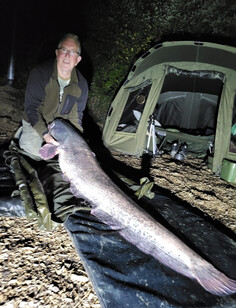 Peg 4, pop up DT bait. Grey Catfish, weight 62lb